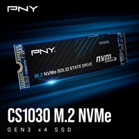 <b>PNY CS1030 M.2 NVMe 500GB SSD</b><br/><br/><b>Overview</b><br/><br/>The PNY CS1030 M.2 NVMe SSD is an excellent choice for an NVMe upgrade from a SATA based solid state drive (SSD) or traditional hard drive in an NVMe enabled desktop or laptop computer. The CS1030 drive is designed to be an upgrade from conventional SATA based storage to take advantage of the high bandwidth of the NVMe interface to help realize faster boot times