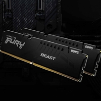 Kingston FURY Beast KF556C40BB-8 8GB (1x 8GB) DIMM System Memory, 5600MHz, DDR5, CL40, Black, Intel XMP