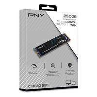 PNY CS1030 (M280CS1030-250-RB) 250GB SSD, PCIe Gen3 x4 Interface,Max Read 2500MB/s, MaxWrite 1100MB/s, 5 Year Limited Warranty