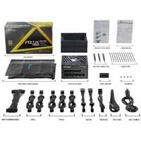 Seasonic FOCUS GX V4 850W 80 PLUS Gold ATX 3.1 Modular PSU with 135mm FDB Fan, OptiSink & 10 Year Warranty, Black